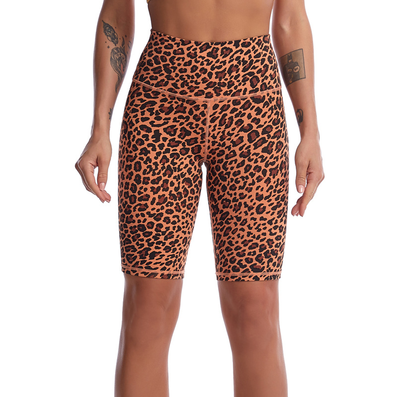 TS-Y2113